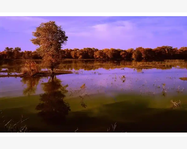 宝宝驱寒，冬日暖心─煮姜汤的中医科普