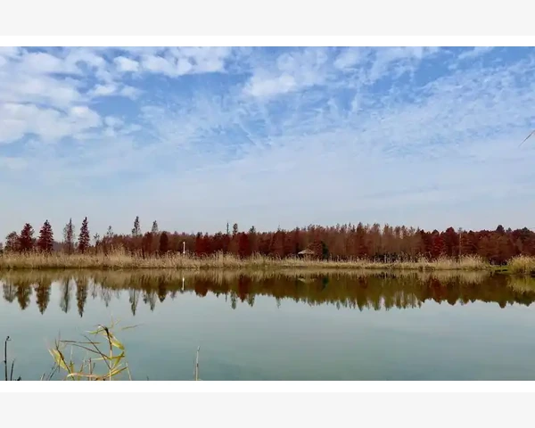 中医药治疗功能性子宫出血