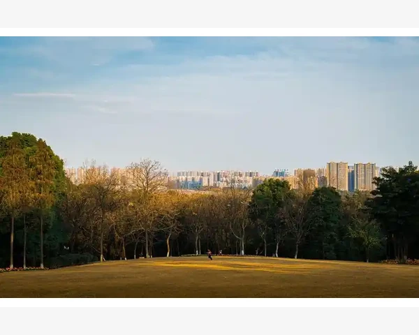 刮痧胳膊一块紫，原因揭秘：中医视角解读刮痧现象