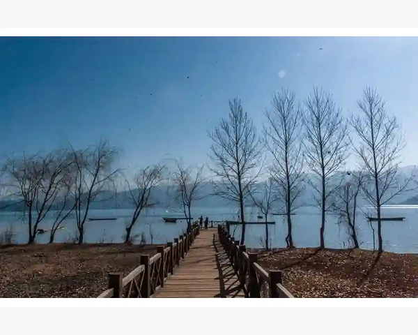 中医药治疗方法与中药基本方剂